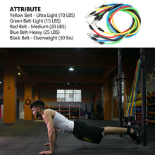 Load image into Gallery viewer, FITPORTER™ Heavy Duty Resistance Workout Gear Set - With Adjustable Pulling Force
